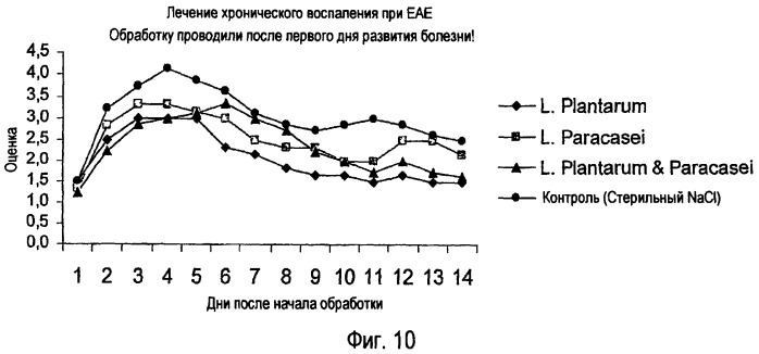 Применение lactobacillus для лечения аутоиммунных заболеваний (патент 2417092)