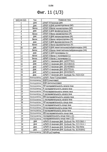 Способ получения рекомбинантного вирусного вектора apmv-8 (патент 2592544)
