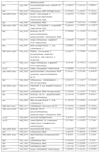 Новая гидрогеназа seq id no:5, очищенная из thermococcus onnurienus na1 с помощью моноokcида углерода, кодирующие ее гены, и способы получения водорода с использованием микроорганизма, имеющего указанные гены (патент 2460789)