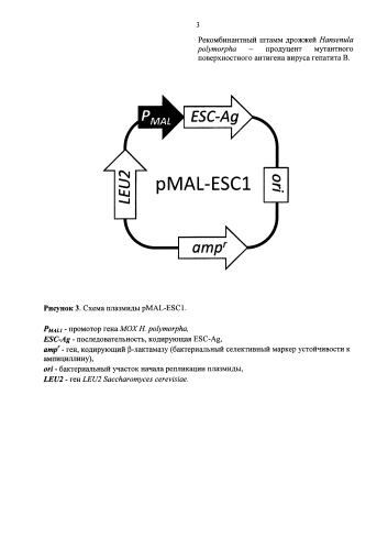 Рекомбинантный штамм дрожжей hansenula polymorpha - продуцент мутантного поверхностного антигена вируса гепатита в (варианты) (патент 2586513)