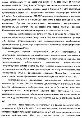 Антитела-нейтрализаторы гранулоцитарно-макрофагального колониестимулирующего фактора человека (патент 2458071)