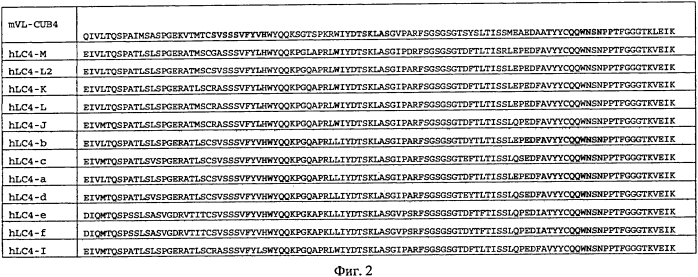 Гуманизированные антитела к cdcp1 (патент 2571207)