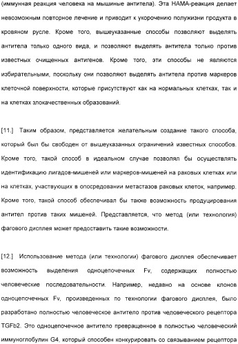 Специфические антитела человека для избирательной терапии рака (патент 2316564)