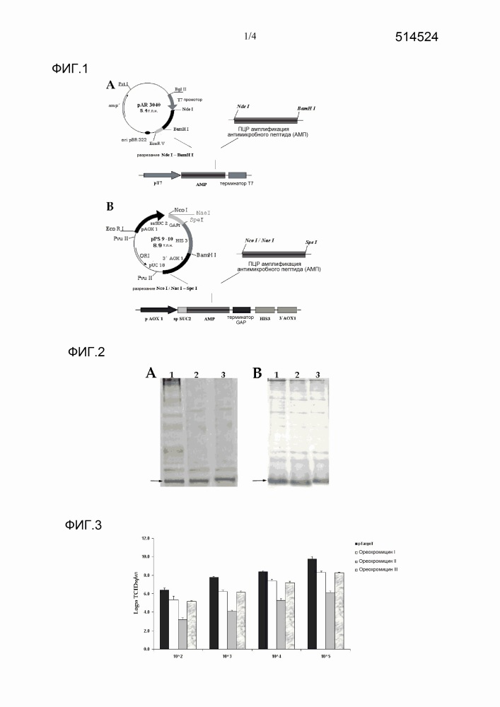 Аминокислотные последовательности для контроля патогенов (патент 2636001)