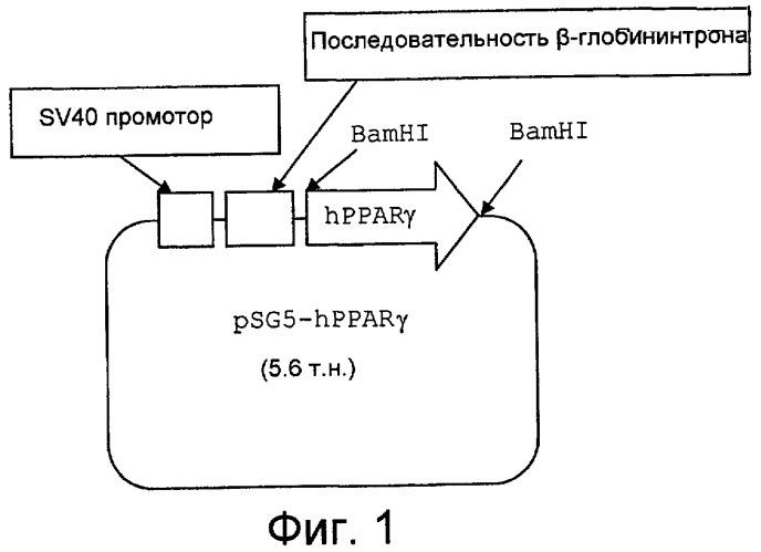 Бензимидазольные производные, фармацевтическая композиция на их основе и способы их применения (патент 2456276)