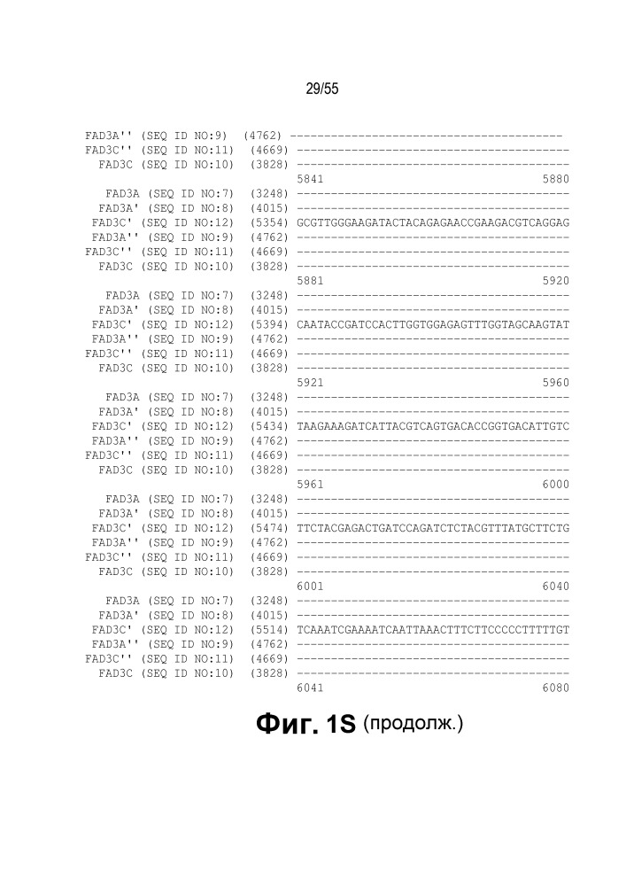 Локусы fad3 для выполнения операций и соответствующие связывающиеся со специфическими сайтами-мишенями белки, способные к вызову направленных разрывов (патент 2665811)