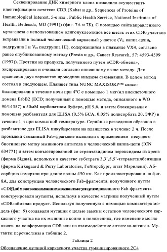 Способ лечения рака у человека (варианты), применяемая в способе форма (варианты) и применение антитела (варианты) (патент 2430739)