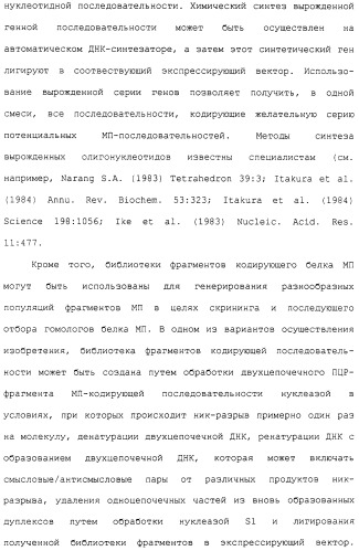 Гены corynebacterium glutamicum, кодирующие белки метаболических путей (патент 2306339)