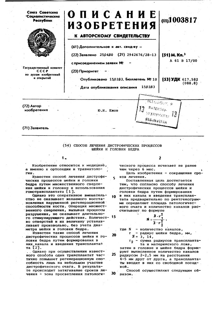 Способ лечения дистрофических процессов шейки и головки бедра (патент 1003817)