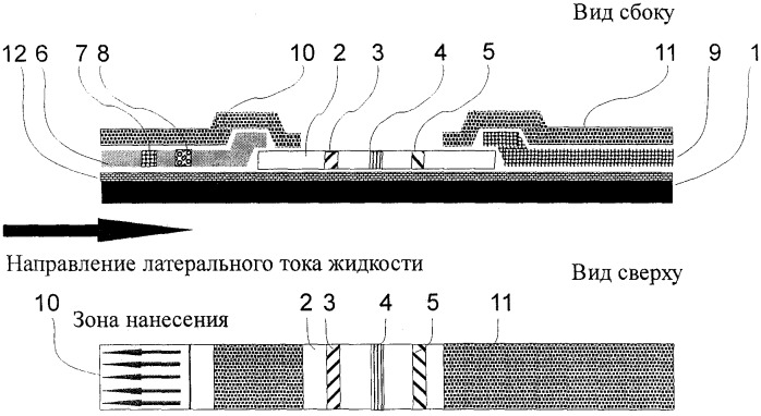 Способ выявления антител к антигенам вирусов гепатитов (патент 2360253)