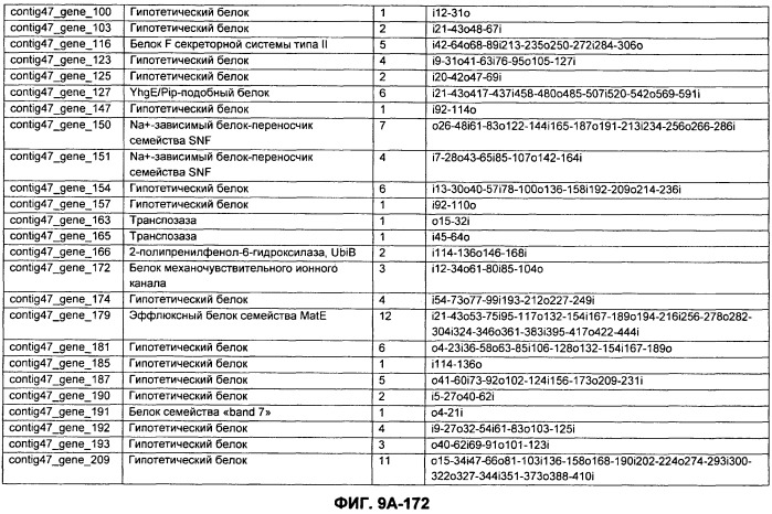 Вакцины и компоненты вакцин для подавления микробных клеток (патент 2528854)