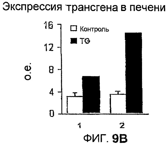 Новый пептид, участвующий в энергетическом гомеостазе (патент 2409590)