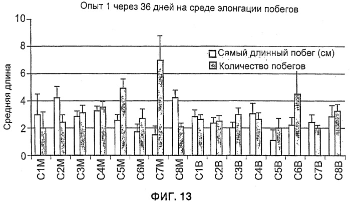 Улучшенная трансформация сои (патент 2389797)