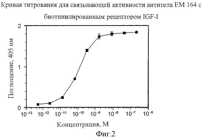 Антитела к рецептору igf-i (патент 2421465)