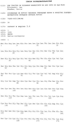 Основанные на notch3 человека гибридные белки в качестве ловушек-ингибиторов передачи сигнала notch3 (патент 2567662)