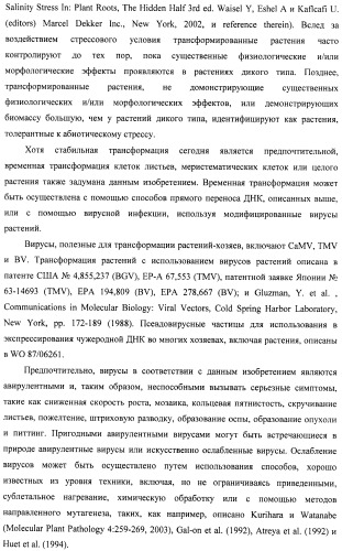 Изолированные полипептиды, кодирующие их полинуклеотиды, экспрессирующие их трансгенные растения и способы их использования (патент 2487166)