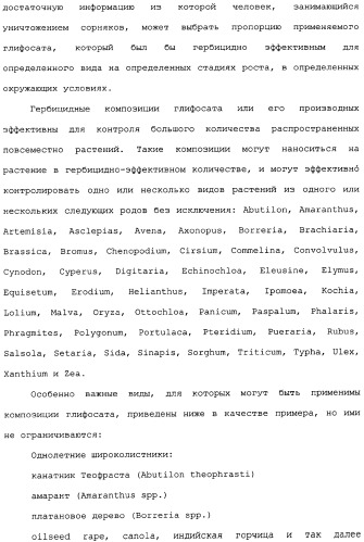 Композиция глифосата калия (патент 2335899)