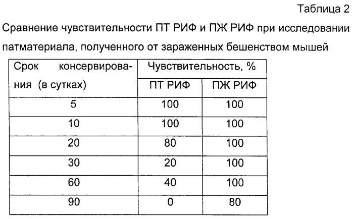 Способ выявления антигена вируса бешенства в формалинизированных пробах головного мозга животных (патент 2266755)