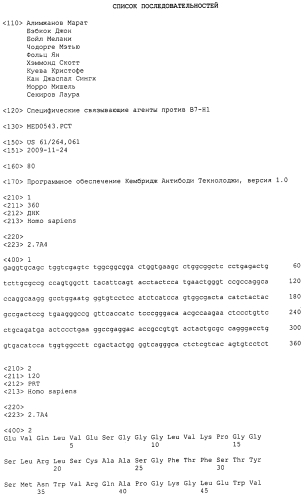 Специфические связывающие агенты против в7-н1 (патент 2571204)