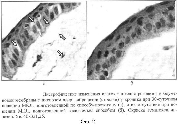 Способ подготовки мягких контактных линз к продленному ношению (патент 2379059)