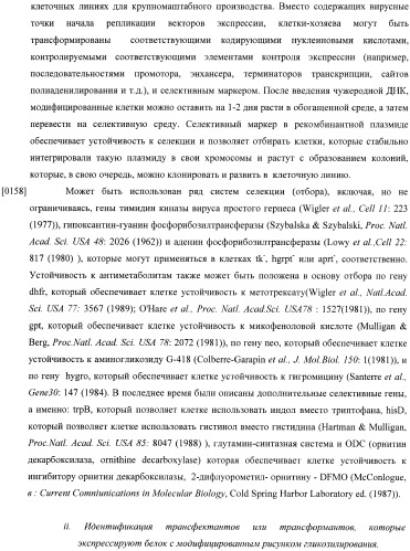 Конструкции слияния и их применение для получения антител с повышенными аффинностью связывания fc-рецептора и эффекторной функцией (патент 2407796)