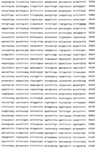 Применение s1p (патент 2362565)