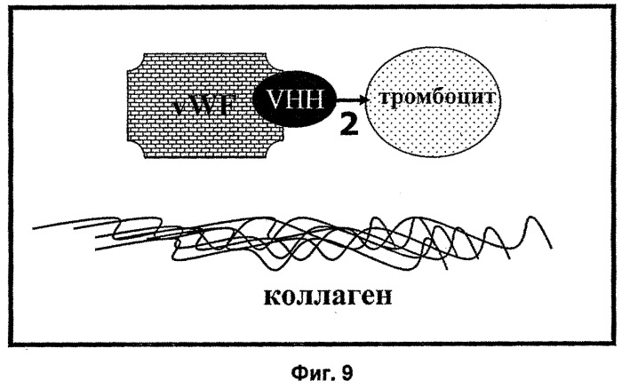 Терапевтические полипептиды, их гомологи, их фрагменты и их применение для модуляции агрегации, опосредованной тромбоцитами (патент 2524129)