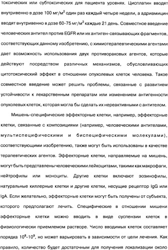 Человеческие моноклональные антитела к рецептору эпидермального фактора роста (egfr), способ их получения и их использование, гибридома, трансфектома, трансгенное животное, экспрессионный вектор (патент 2335507)