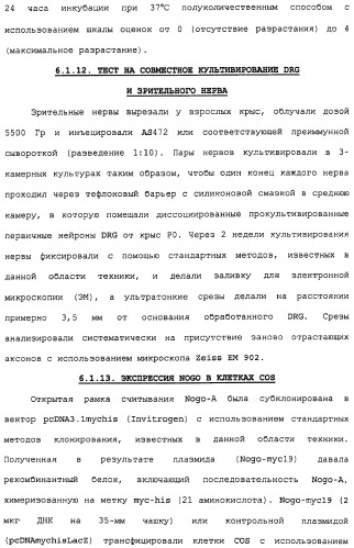 Поликлональное антитело против nogo, фармацевтическая композиция и применение антитела для изготовления лекарственного средства (патент 2432364)