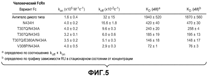 Варианты иммуноглобулина и их применения (патент 2536937)