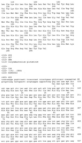 Гены corynebacterium glutamicum, кодирующие белки, участвующие в синтезе мембран и мембранном транспорте (патент 2312145)
