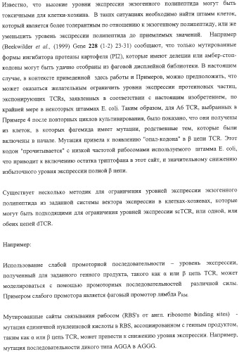 Экспонирование т-клеточных рецепторов (патент 2346004)