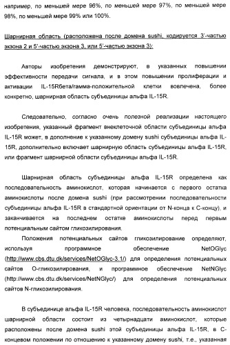 Соединение, предназначенное для стимуляции пути передачи сигнала через il-15rбета/гамма, с целью индуцировать и/или стимулировать активацию и/или пролиферацию il-15rбета/гамма-положительных клеток, таких как nk-и/или t-клетки, нуклеиновая кислота, кодирующая соединение, вектор экспрессии, клетка-хозяин, адъювант для иммунотерапевтической композиции, фармацевтическая композиция и лекарственное средство для лечения состояния или заболевания, при котором желательно повышение активности il-15, способ in vitro индукции и/или стимуляции пролиферации и/или активации il-15rбета/гамма-положительных клеток и способ получения in vitro активированных nk-и/или t-клеток (патент 2454463)