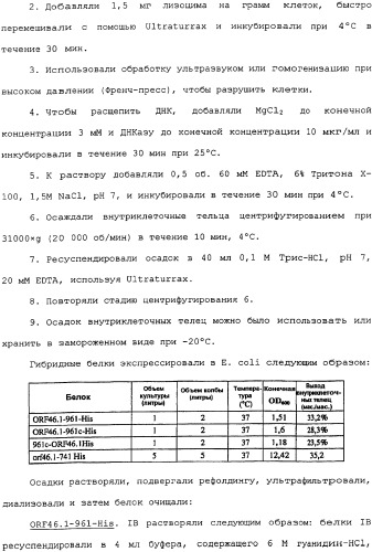 Гибридная и тандемная экспрессия белков нейссерий (патент 2339646)