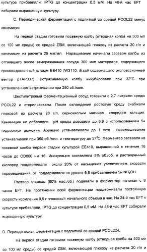 Продуцирование il-21 в прокариотических клетках-хозяевах (патент 2354703)