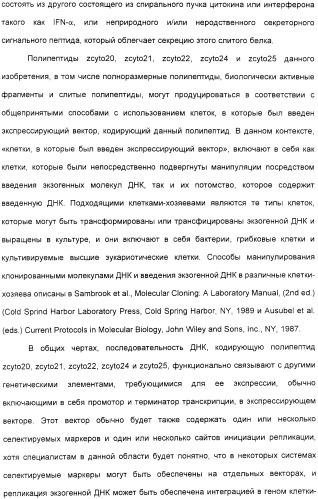 Выделенный полипептид, обладающий антивирусной активностью (варианты), кодирующий его полинуклеотид (варианты), экспрессирующий вектор, рекомбинантная клетка-хозяин, способ получения полипептида, антитело, специфичное к полипептиду, и фармацевтическая композиция, содержащая полипептид (патент 2321594)