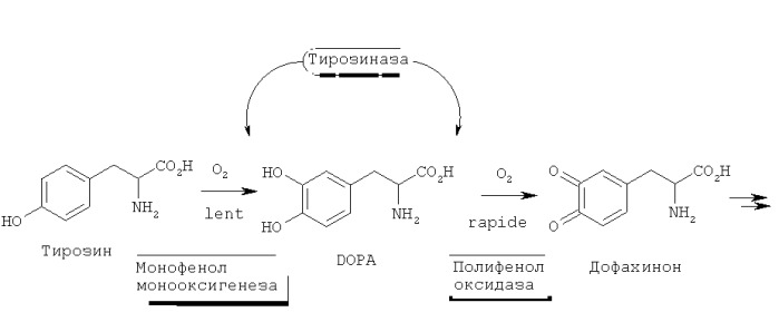 Серосодержащие производные резорцина, способ их получения и косметическое применение (патент 2539589)