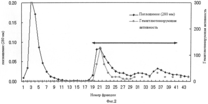 Способ диагностики рака поджелудочной железы (патент 2533219)
