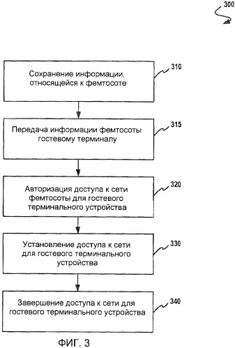Система и способ для обеспечения возможности передачи информации фемтосоты от хост-терминального устройства к гостевому терминальному устройству (патент 2442297)
