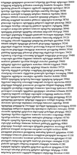 Модуляция экспрессии гентингтина (патент 2562861)