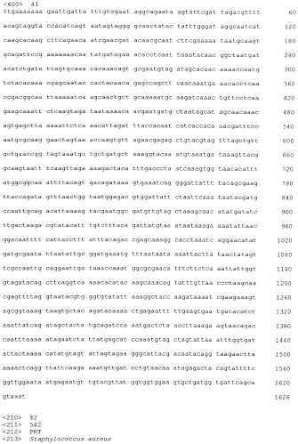 Стабильные иммуногенные композиции антигенов staphylococcus aureus (патент 2570730)