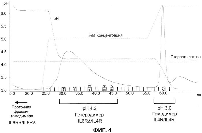Легковыделяемые биспецифические антитела с природным иммуноглобулиновым форматом (патент 2522002)