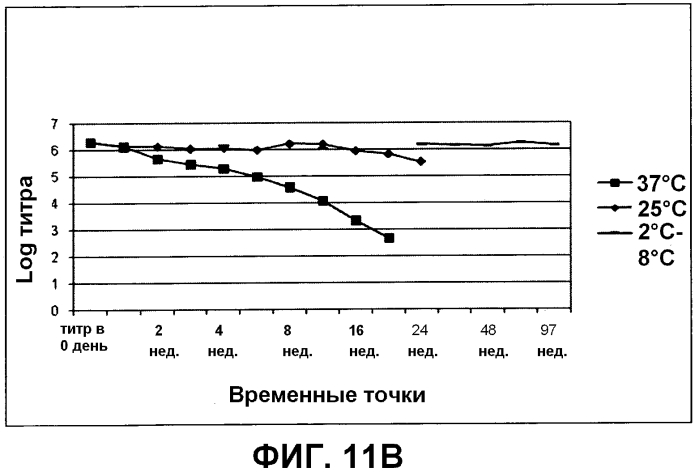 Композиция, применимая в качестве ротавирусной вакцины, и способ ее получения (патент 2553331)