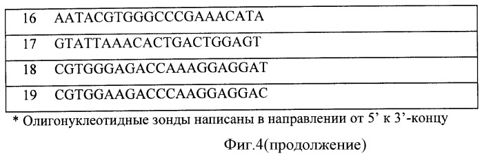 Способ выбора днк-зондов для микрочиповой диагностики, биочип и способ типирования гена нейраминидазы и гемагглютинина вируса гриппа а (патент 2470076)