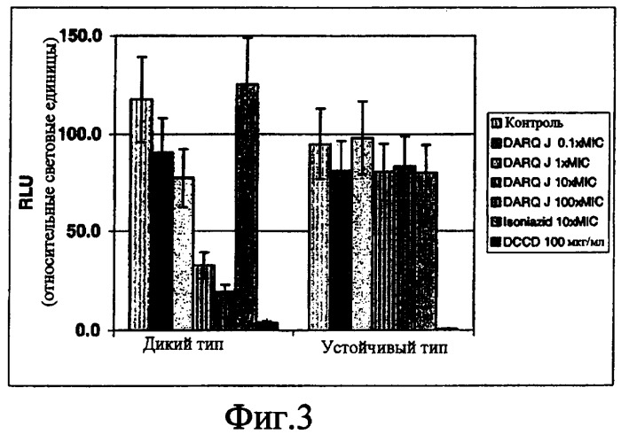 Домен связывания бактериальной атр-синтазы (патент 2418001)