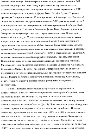 Химерные и гуманизированные антитела к cd44, которые опосредствуют цитотоксичность в отношении раковых клеток (патент 2487723)