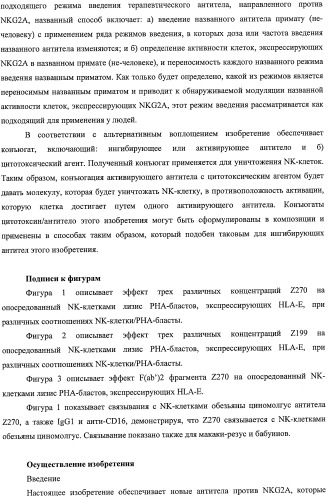 Моноклональные антитела против nkg2a (патент 2481356)