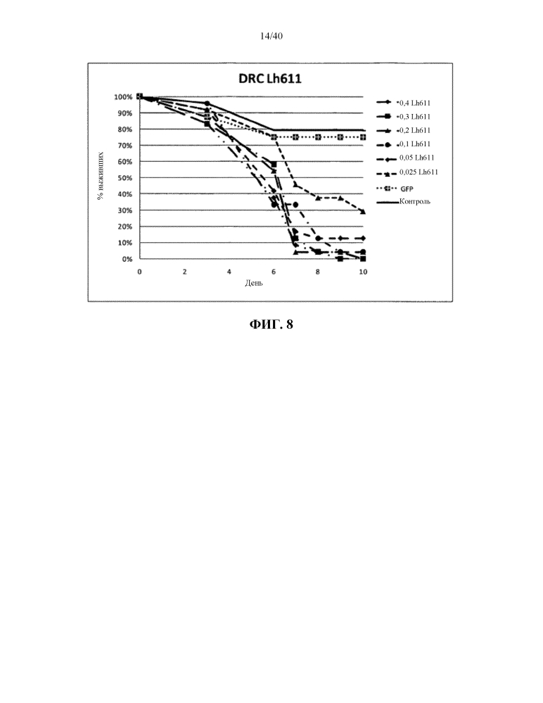 Подавление экспрессии генов у насекомых-вредителей (патент 2619219)