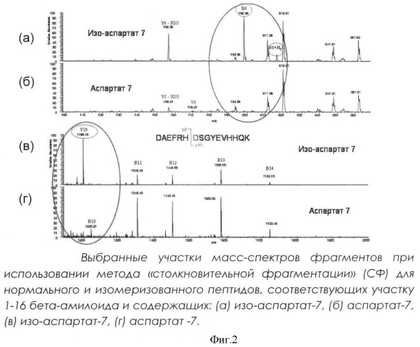 Способ идентификации изомеризованного аспартата в бета-амилоиде (патент 2431143)