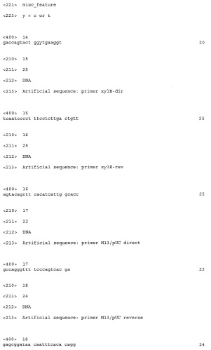 Новая эндо-(1-4)- -d-ксиланаза из penicillium canescens (варианты), фрагмент днк, кодирующий секретируемую эндо-(1-4)- -d-ксиланазу из penicillium canescens (варианты), и способ ее получения (патент 2412246)